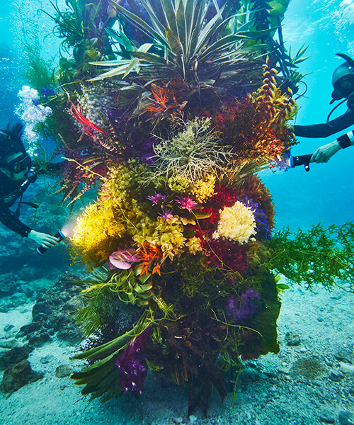 diving into nature: azuma makoto's floral installation blooms in japan's uncharted waters